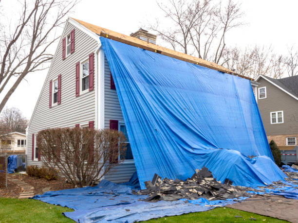Best Steel Siding Installation  in Redwood Valley, CA